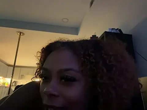 slimthic webcam