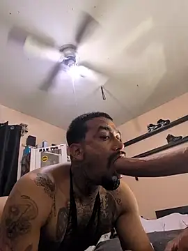 Cnutt310 webcam