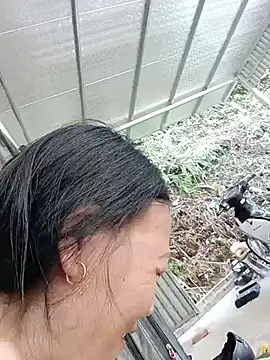toyo_668 webcam