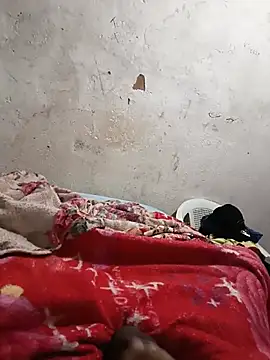 Mineirinho20cm webcam