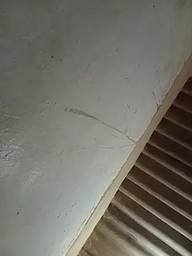 Melofcl webcam