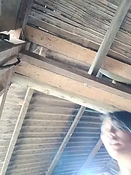 Ppphung webcam