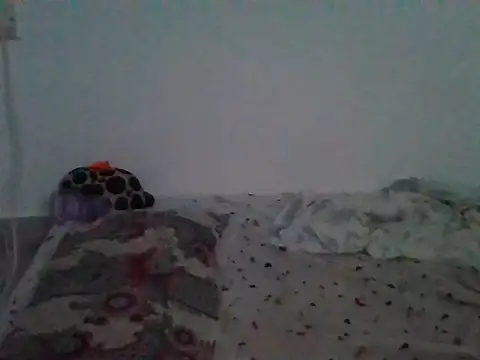 milk_sugar19 webcam