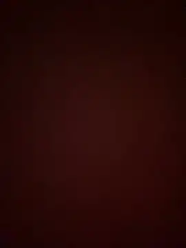pervshon webcam