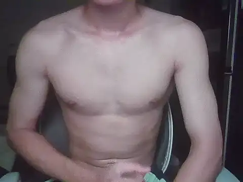 vinhsds webcam