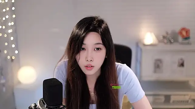 SleepArtist webcam