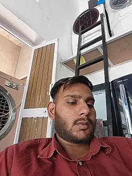 Bull_young2 webcam