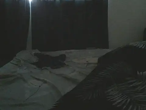 vanillapieh webcam