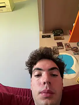 Lukerovett webcam