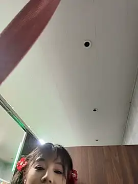 feifei_7788