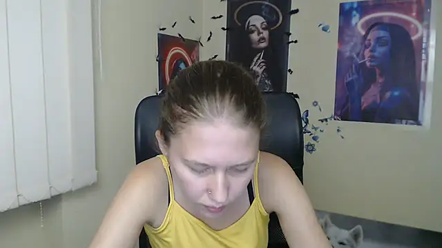 StellaCRL webcam