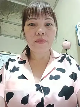 Sana-vn webcam