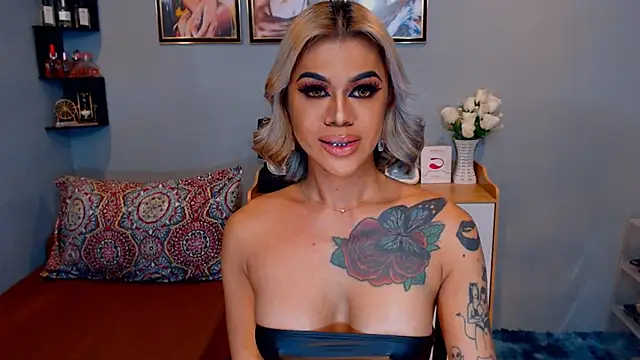 StellaStrong30 webcam