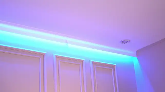 IvyVeil webcam