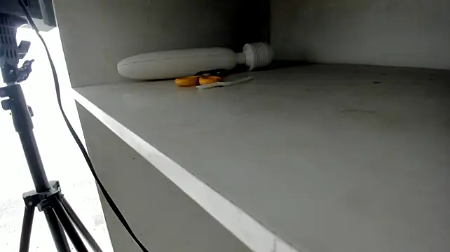 LorenaAndJackson webcam