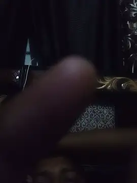 Hero7029 webcam