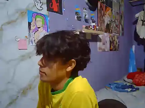 Ganimendes webcam
