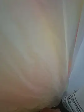 edu395 webcam