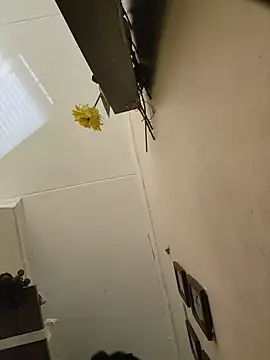 QingMother webcam