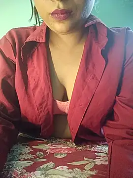 ____is___ webcam