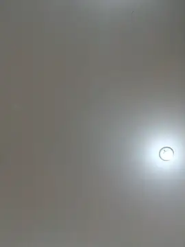 Laurinhasafad
