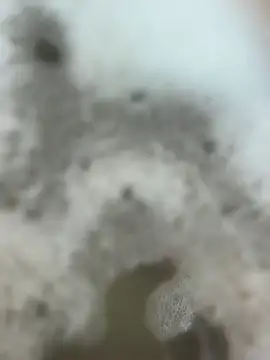 soyyoelque4