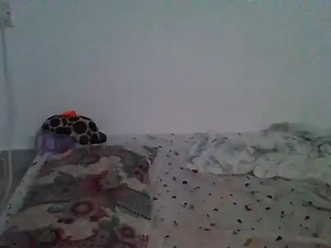 milk_sugar19 webcam