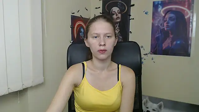 StellaCRL webcam