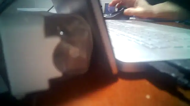 omahatower webcam