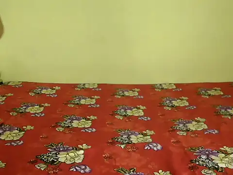 Brown-Cat webcam