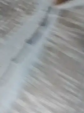 Sea-ice webcam