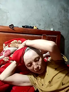 Top2004a webcam
