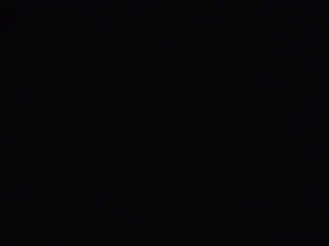 PenerPanShibari