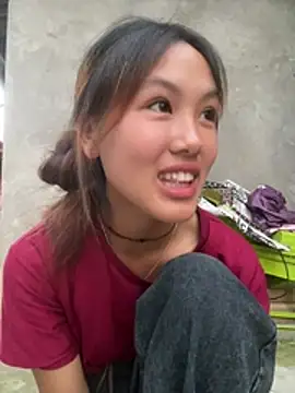 hoa_mai