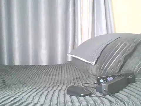 Geminisiren webcam