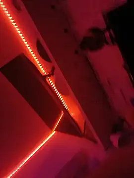 rex_holes webcam
