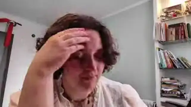 Vaelisse webcam