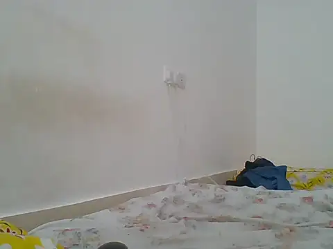 hotty_assy webcam