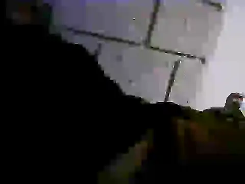 Boneart webcam