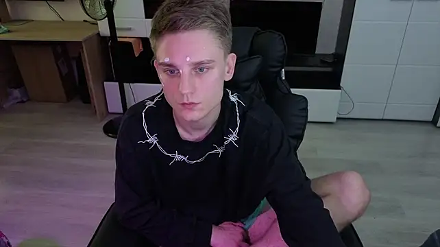 pvlpstvy webcam