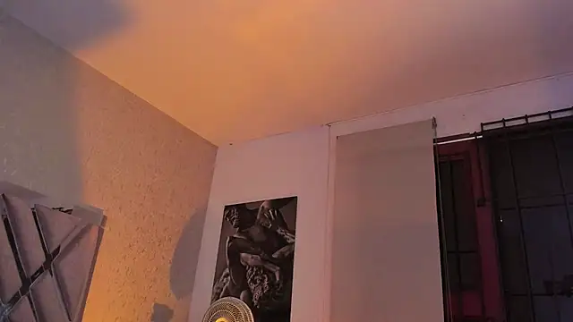 Vincentblack webcam