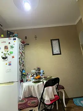 Frosl webcam