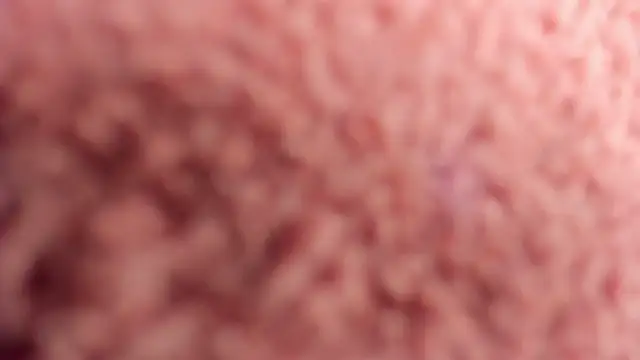 Kelly_Carolina webcam