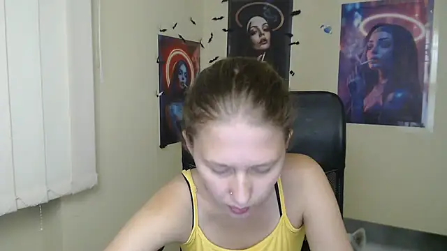 StellaCRL webcam