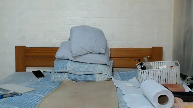 awild_kitten webcam