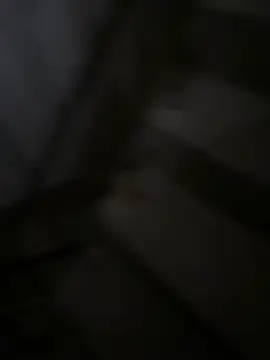 daaqnn webcam