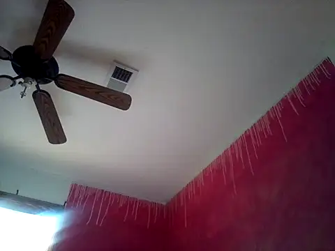 Blkstylion webcam