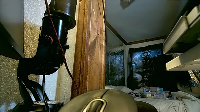 savageconfidence webcam