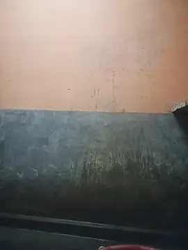 StripchatAssam93 webcam