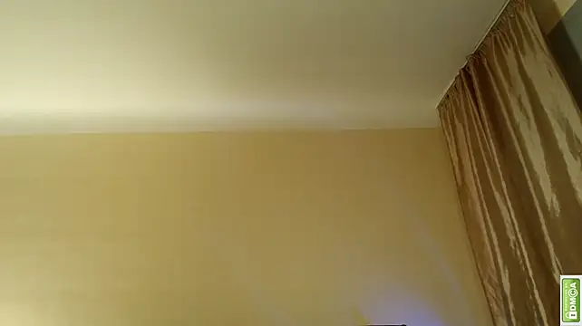 Arturswan webcam